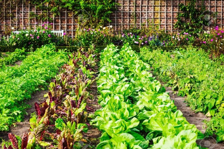 orto-in-giardino
