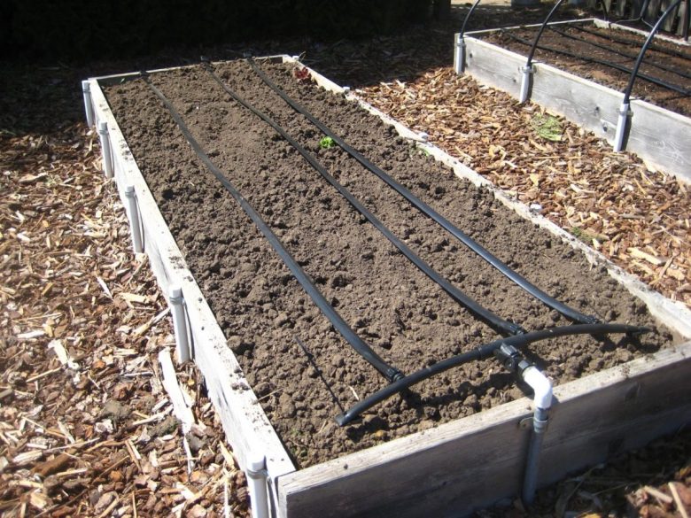 orto-in-giardino-irrigazione