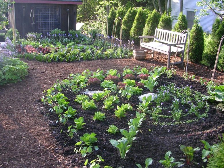 orto-in-giardino-panchina