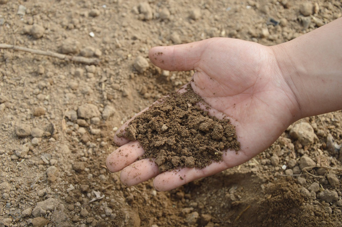 orto-in-giardino-preparazione-terreno