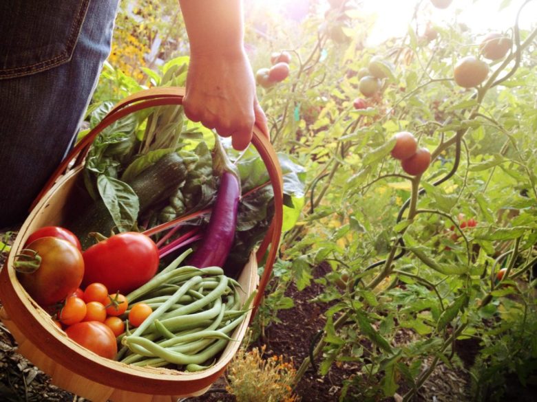 orto-in-giardino-prodotti