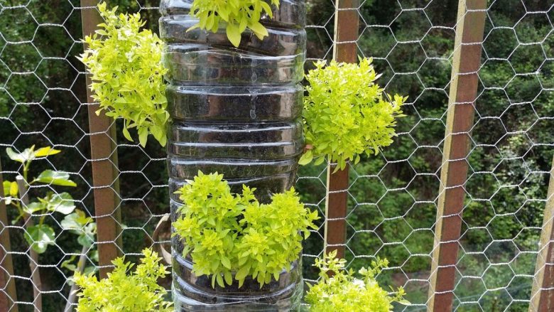 orto-in-giardino-recinzione-metallo
