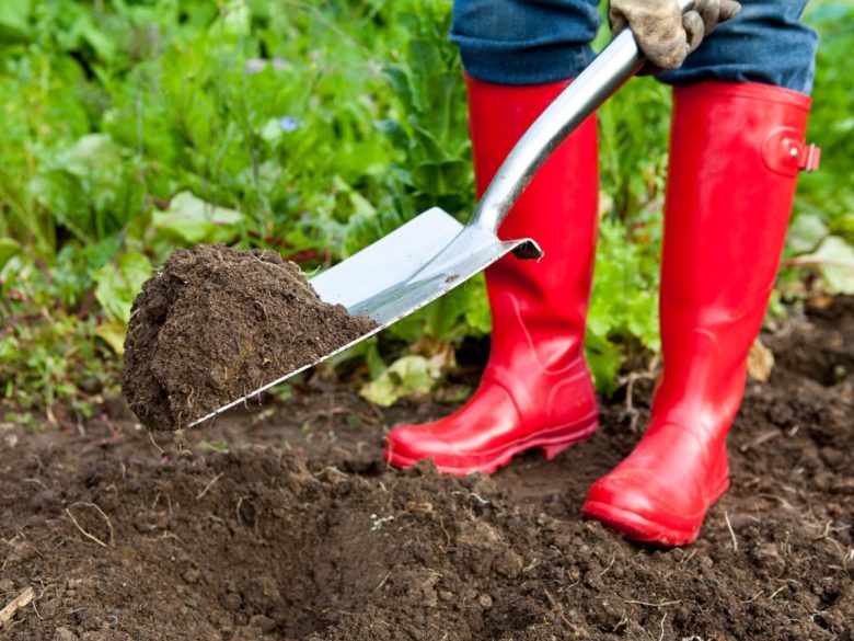 orto-in-giardino-zappare
