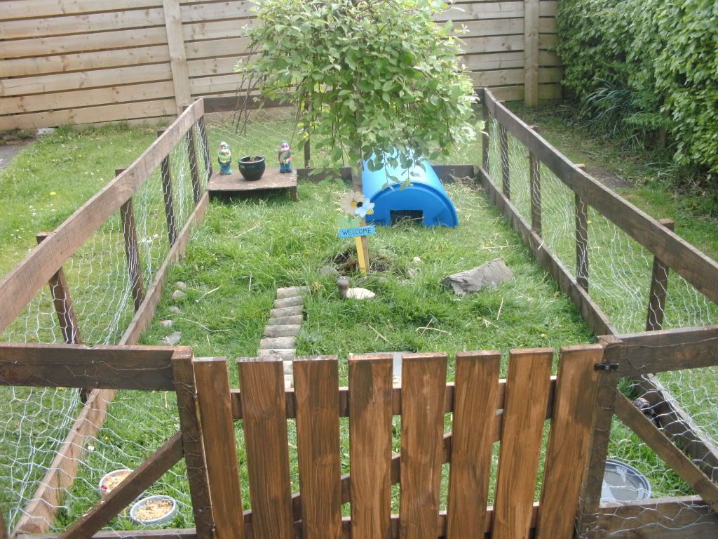 recinzione-giardino-pollaio