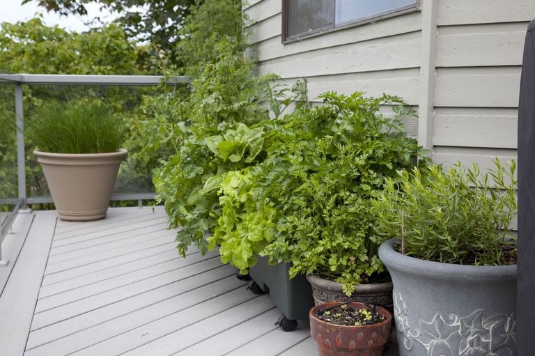 orto-balcone