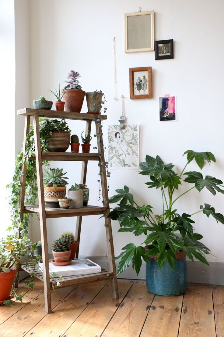 stile-jungalow-5