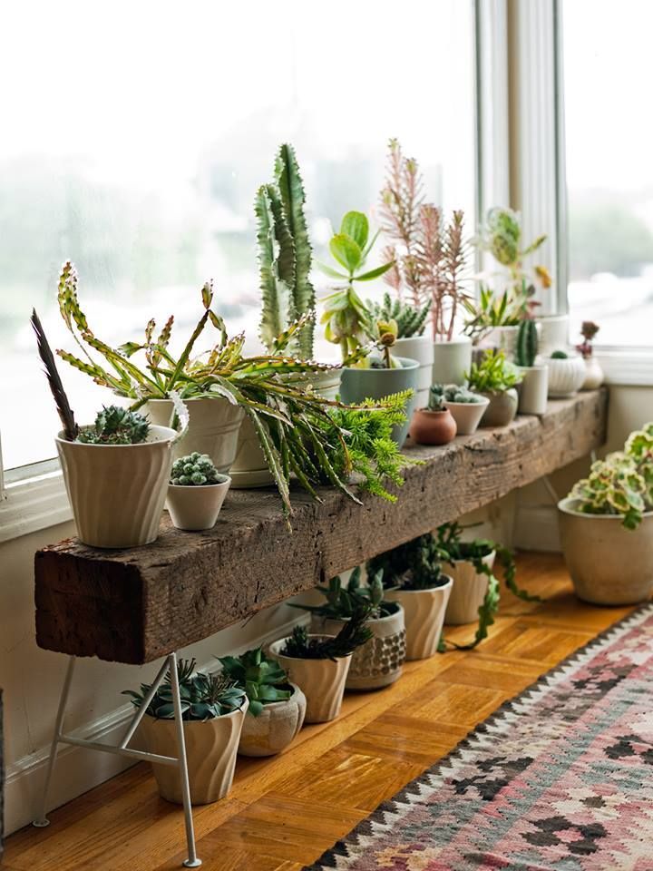 stile-jungalow-6
