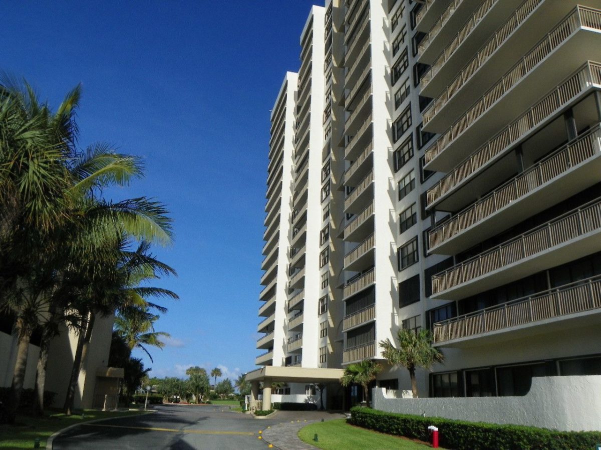 alberi-condominio-3