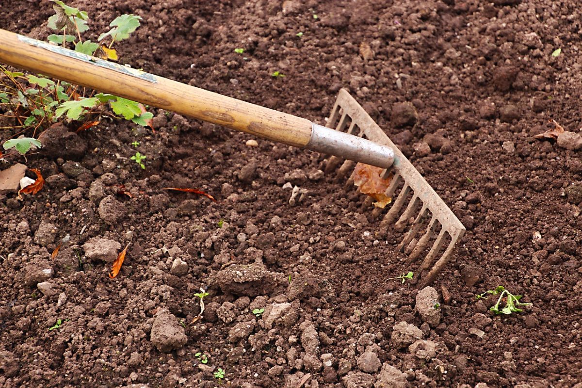 Giardino, Terreno
