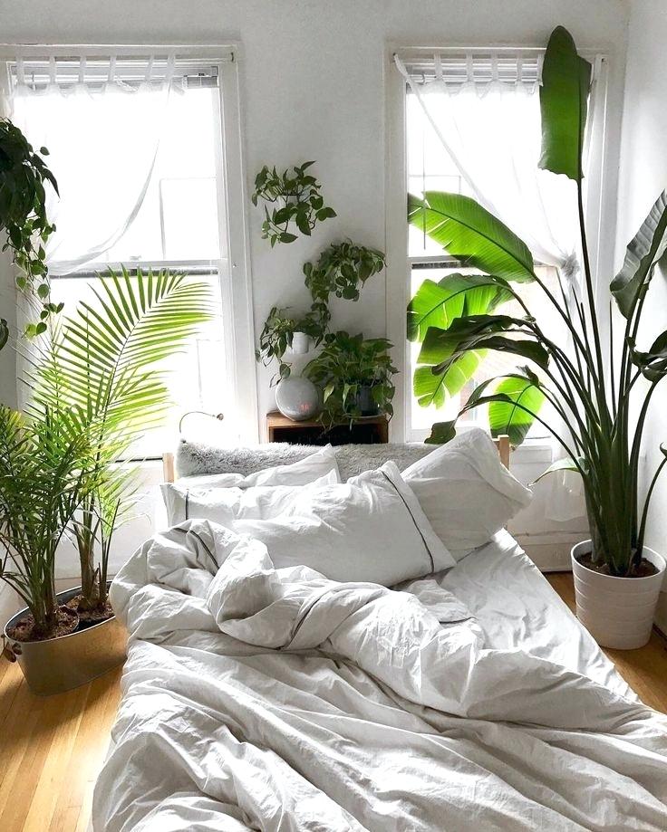 Camera-da-letto-piante3