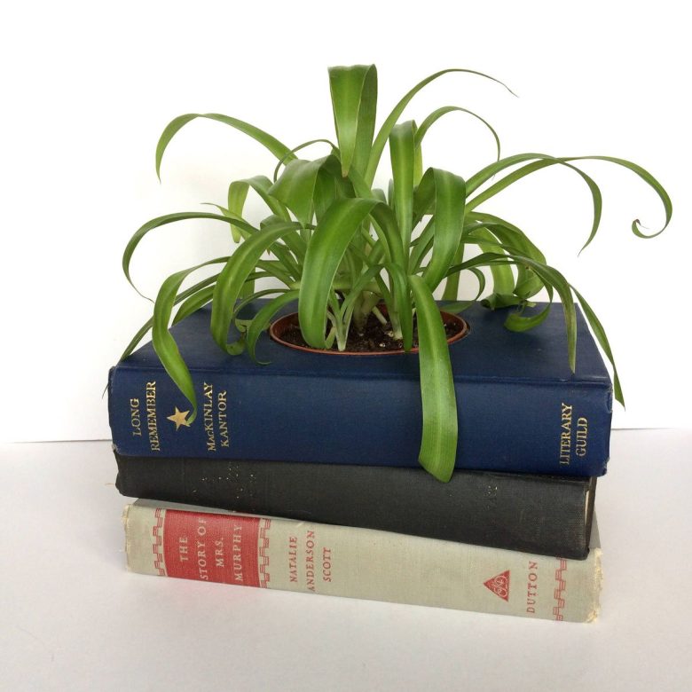 arredare-con-libri-15