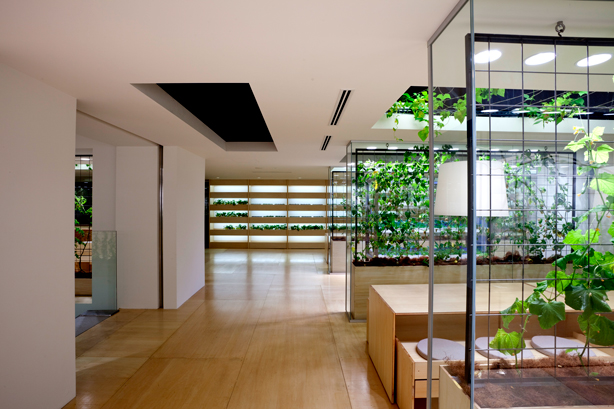 stile-urban-jungle-10
