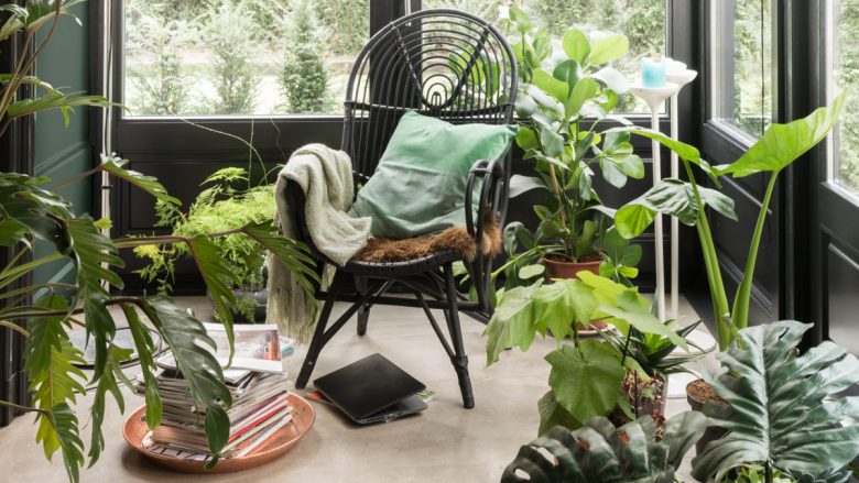 stile-urban-jungle-11