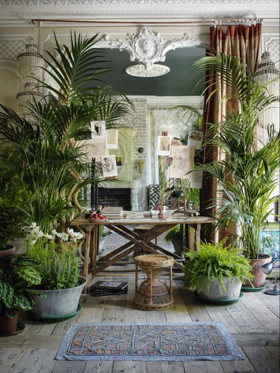 stile-urban-jungle-soggiorno