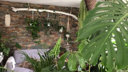 Come arredare casa in Stile Urban Jungle