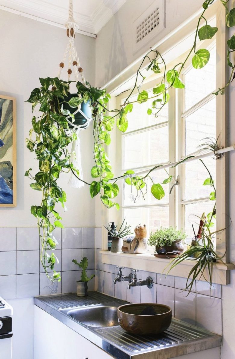 stile-urban-jungle-cucina-2