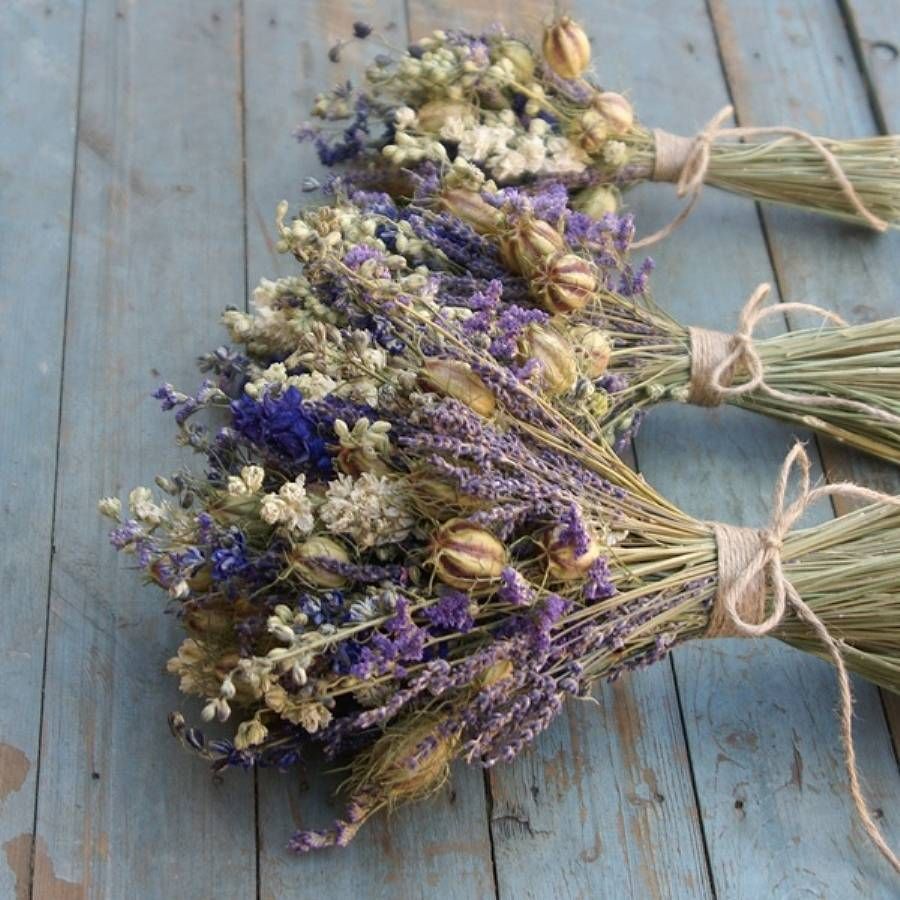 fiori-provenza