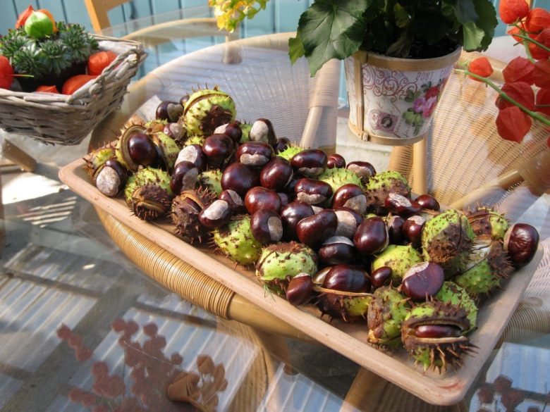 abbellire-casa-autunno-castagne