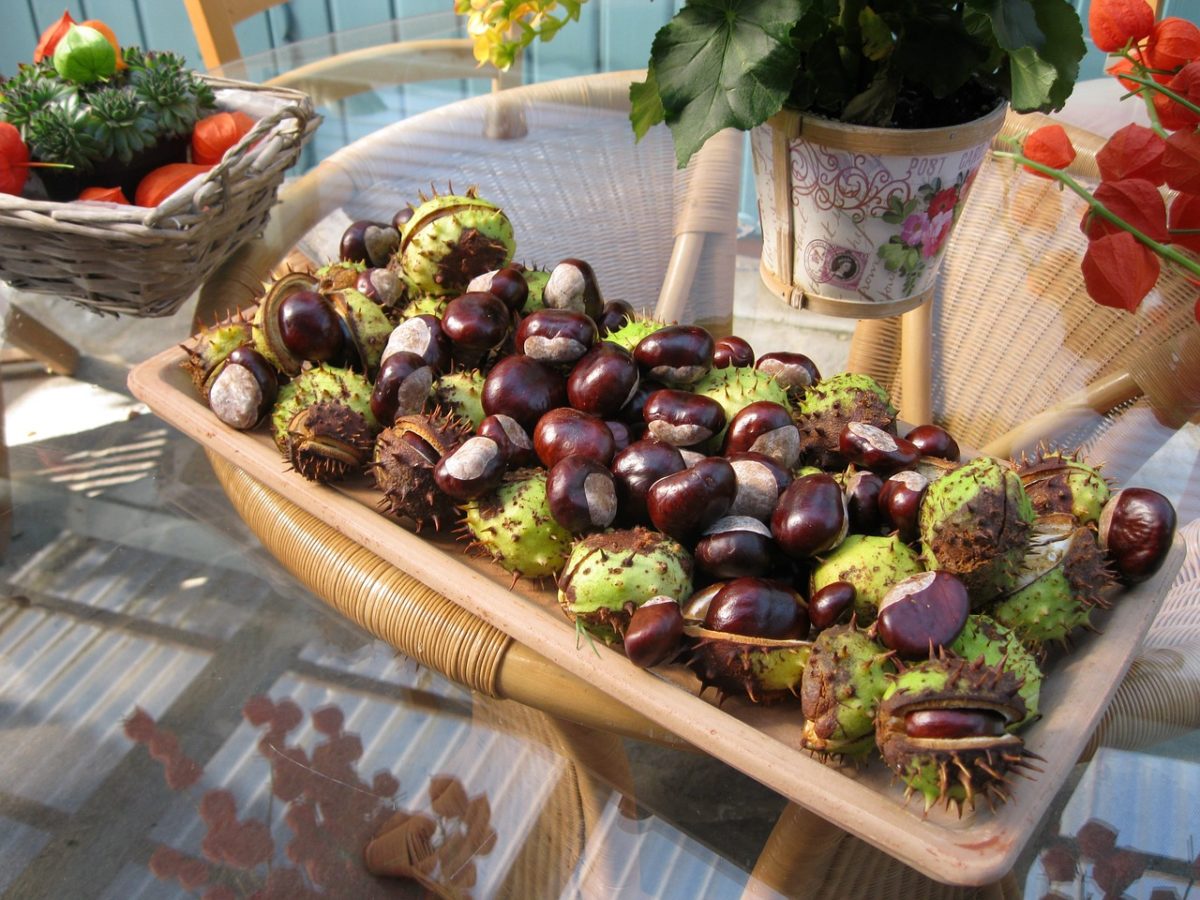 abbellire-casa-autunno-castagne