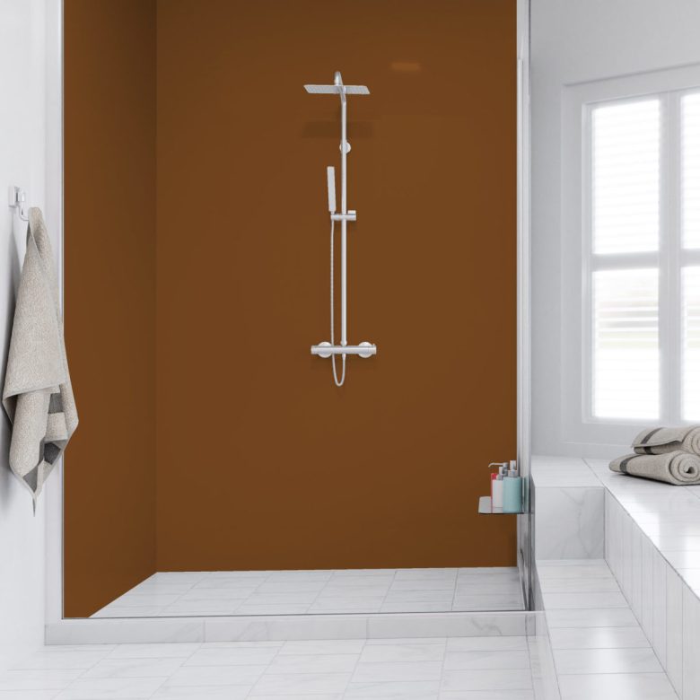 color-terra-siena-bagno-doccia-parete