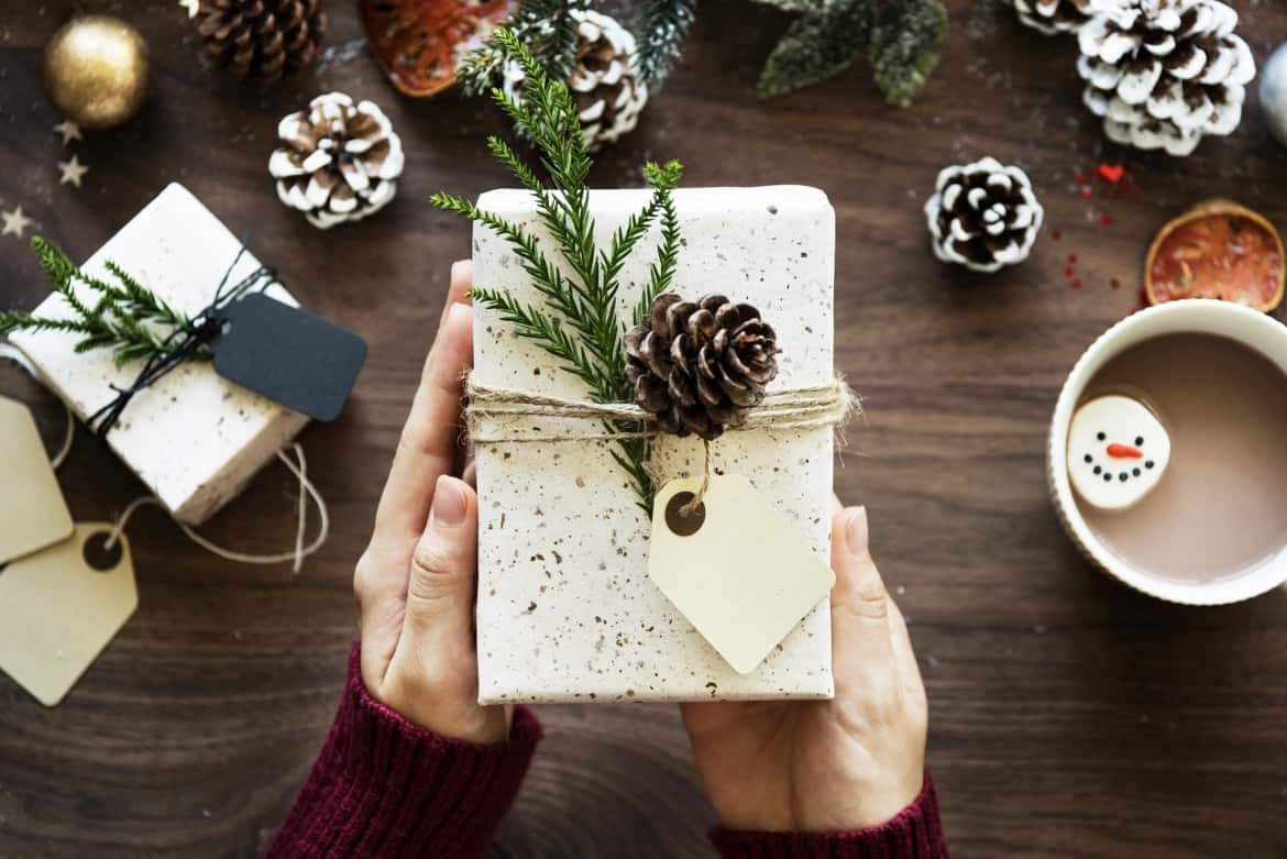 decorazioni-natalizie-pigne-fiocco-regalo