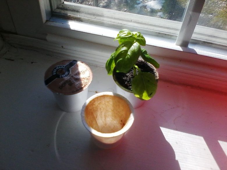 riutilizzare-cialde-caffè-finestra