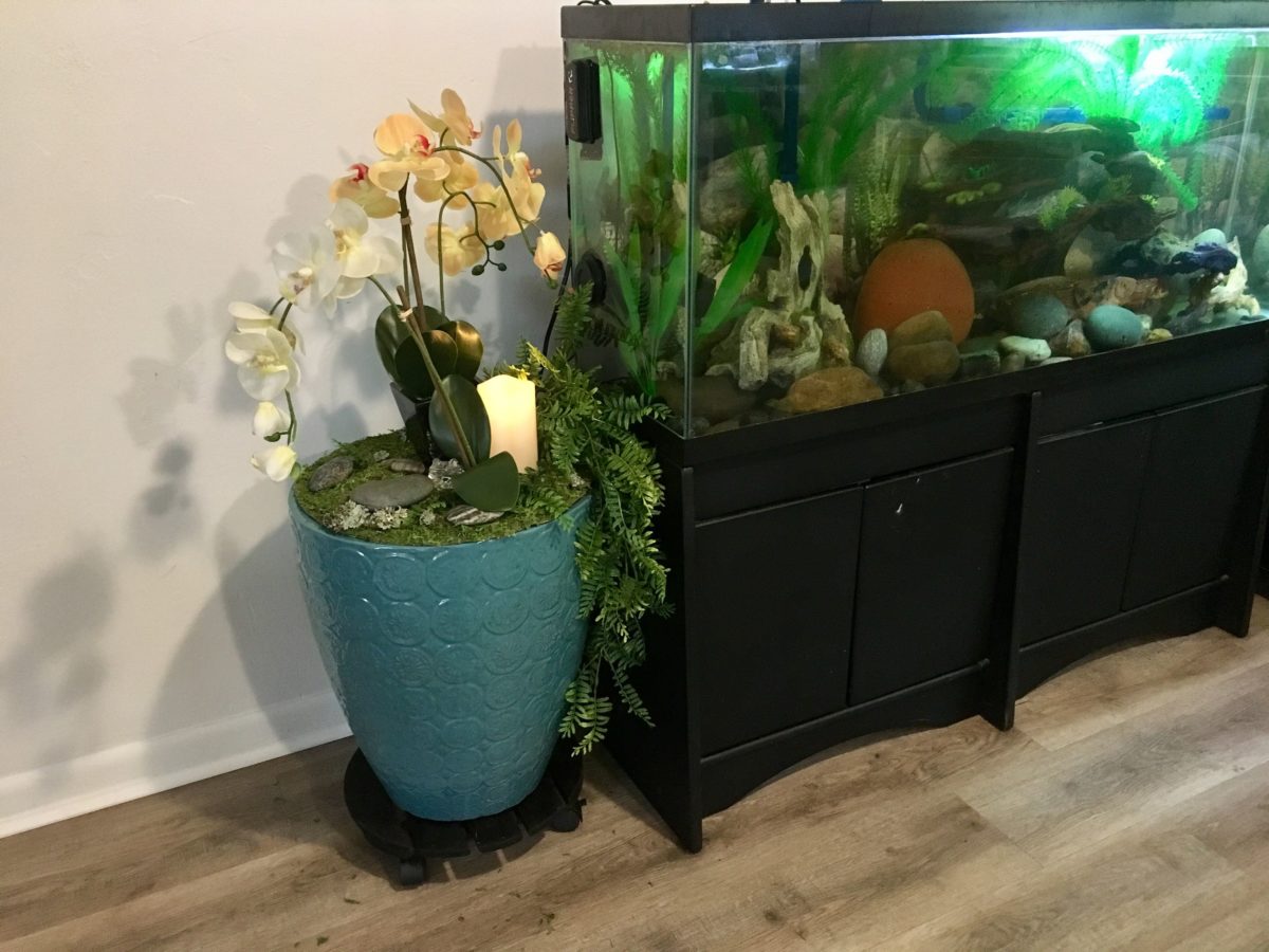 nascondiglio-acquario