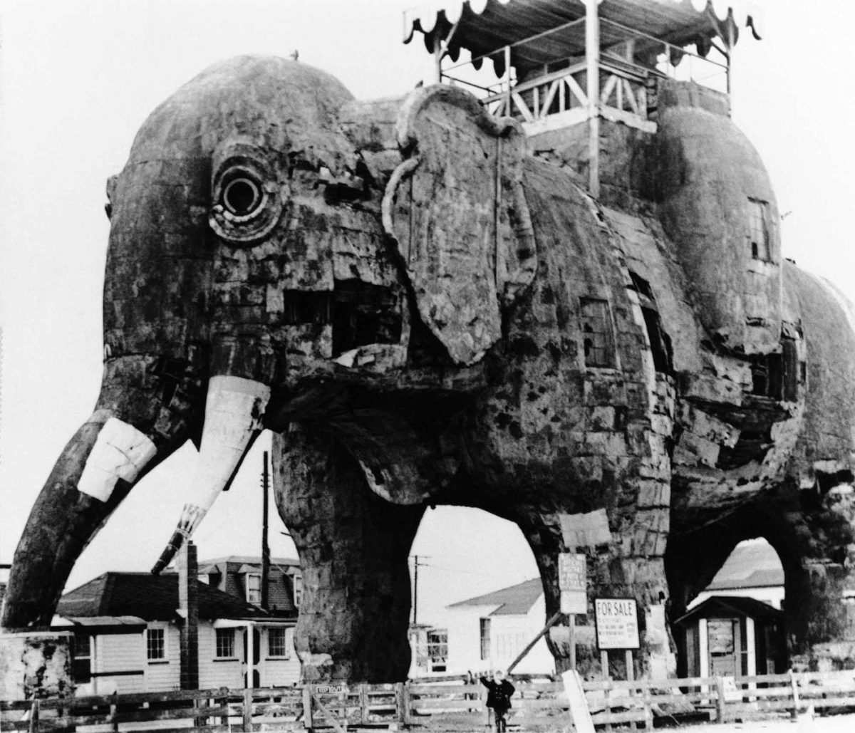 lucy-elephant-marcio