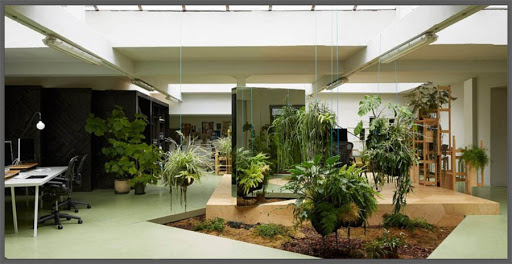 come-creare-giardino-in-casa-12