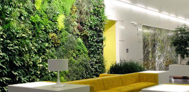 come-creare-giardino-in-casa-15