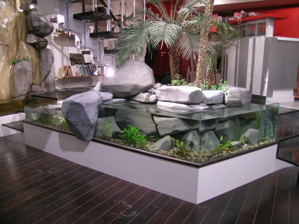 come-creare-giardino-in-casa-20