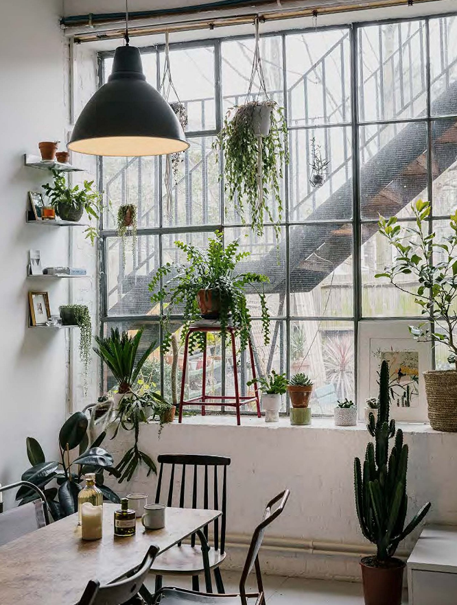 come-creare-giardino-in-casa-22