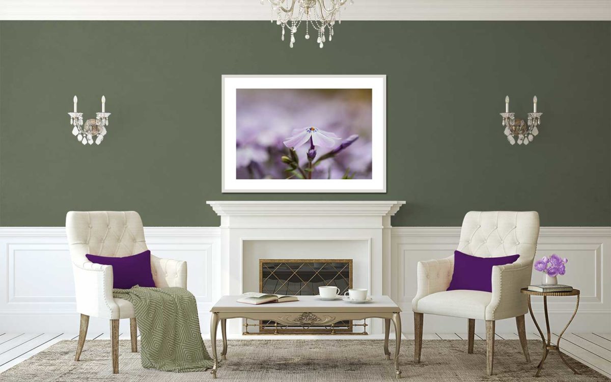 soggiorno-color-lavanda-abbinamento-grigio