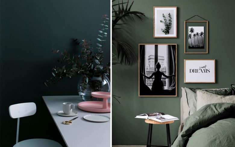 color-verde-foresta-011