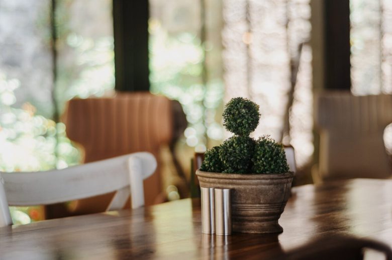 piante-grasse-come-utilizzarle-nell-home-decor-centrotavola