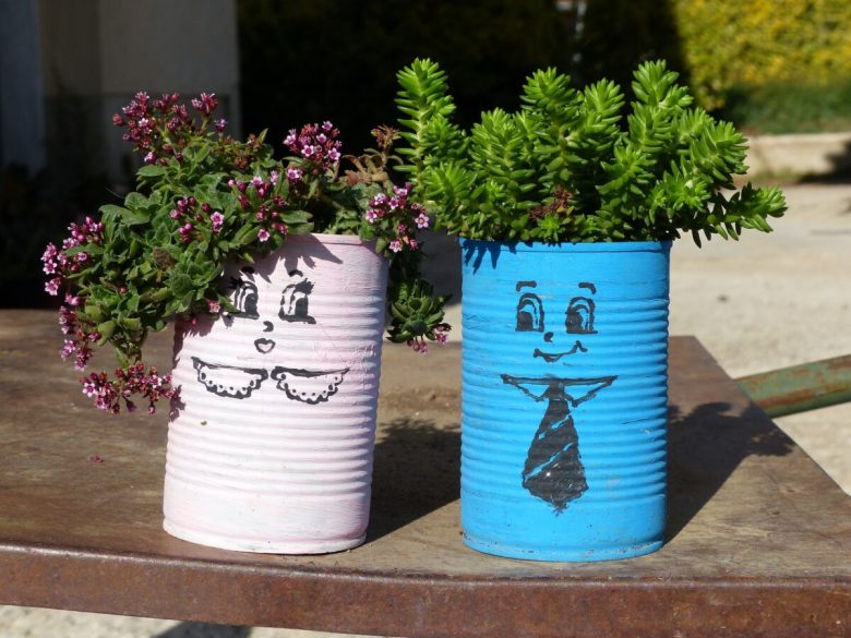 piante-grasse-come-utilizzarle-nell-home-decor-lattine