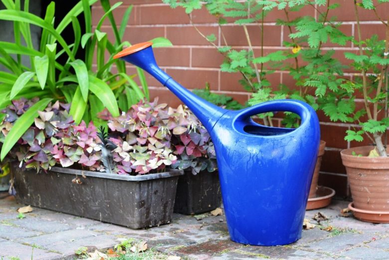 watering-can-887714_1280