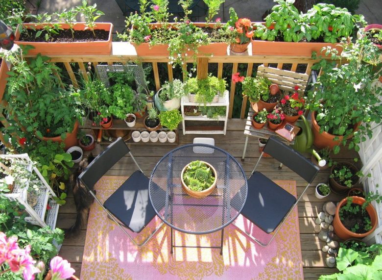 Ortaggi-da-balcone-poca-fatica-e-tanta-soddisfazione2