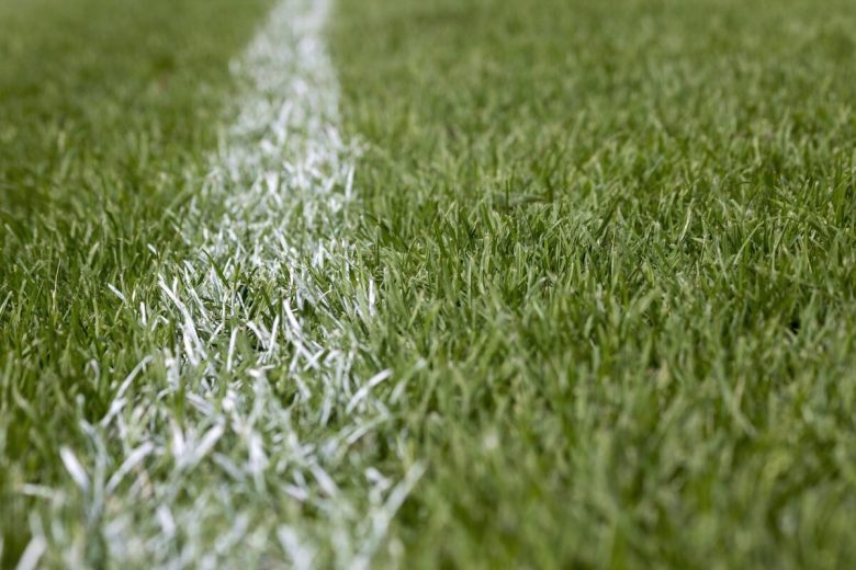 campo-calcio