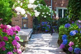 fiori-agosto-3