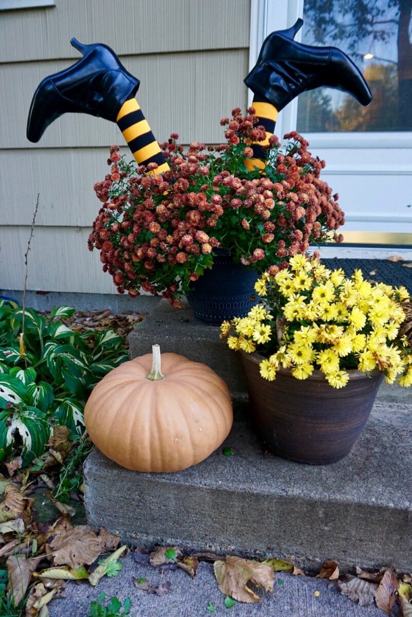 fioriere-fai-da-te-zucca
