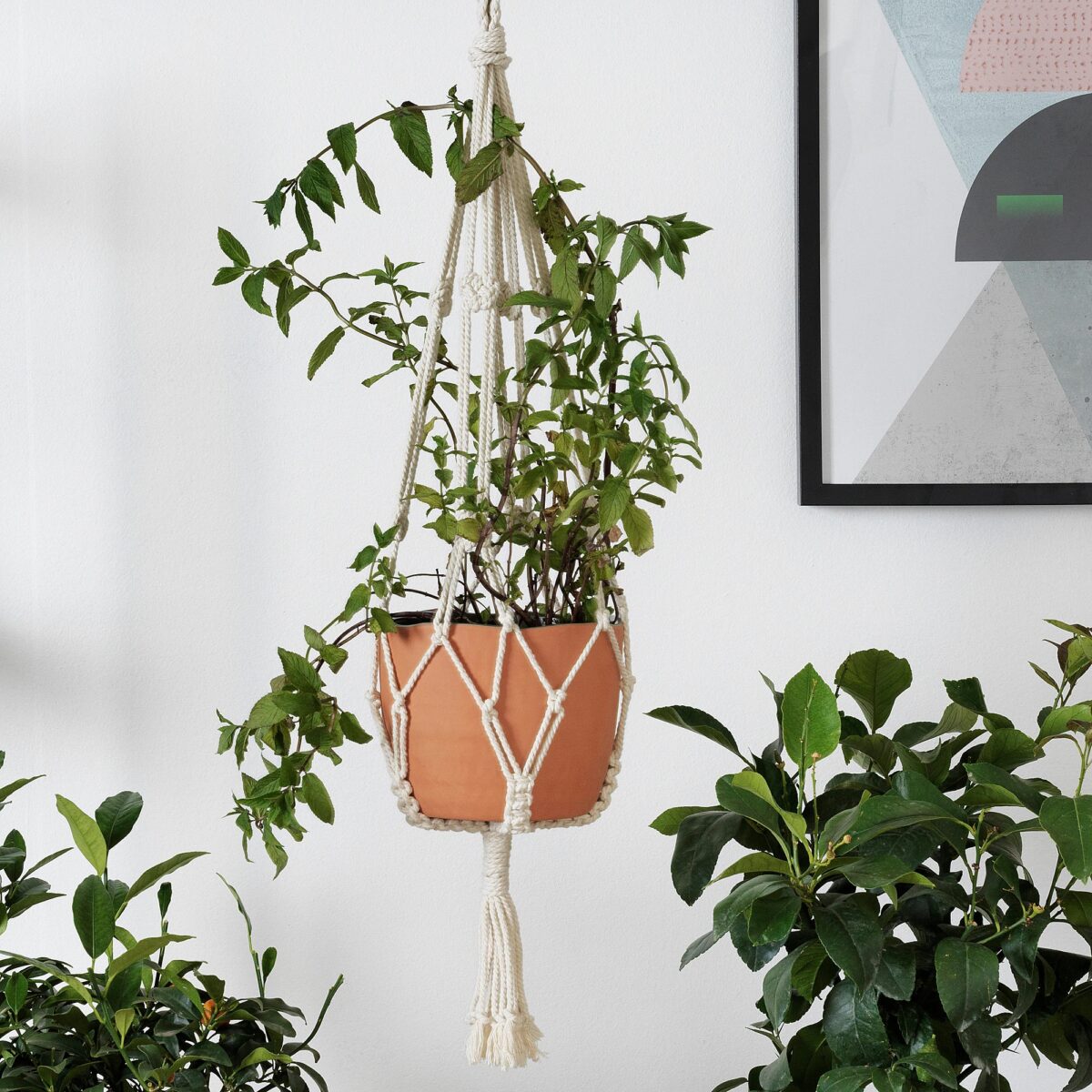 ikea-botanisk-accessorio-sospensione-portavasi-beige-fatto-a-mano