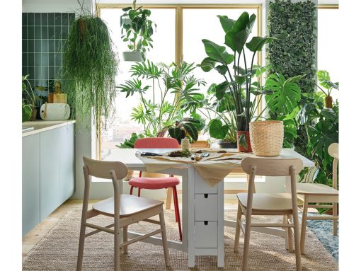 Piante da appartamento più resistenti: eccone 3 da acquistare da IKEA
