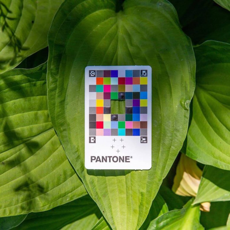 pantone-color-match-card-foglia