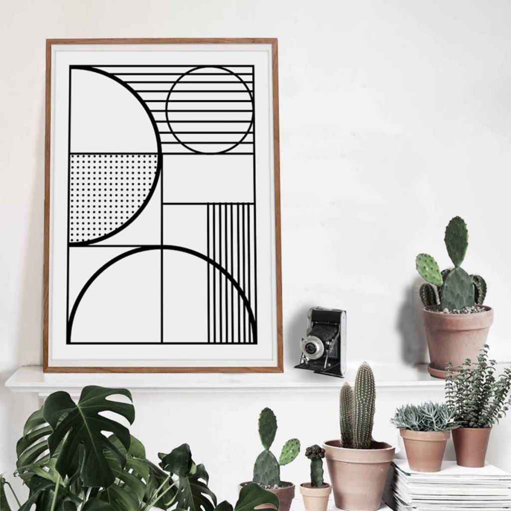 piante-interni-scandinavi