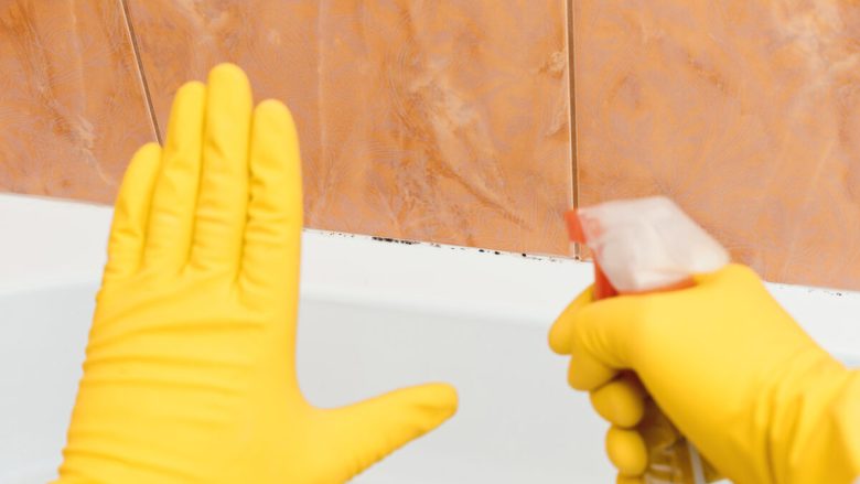 Hand showing stop mold in bathroom, the other hand holding a spray tool.
