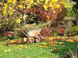 10-lavori-casa-ottobre-giardino