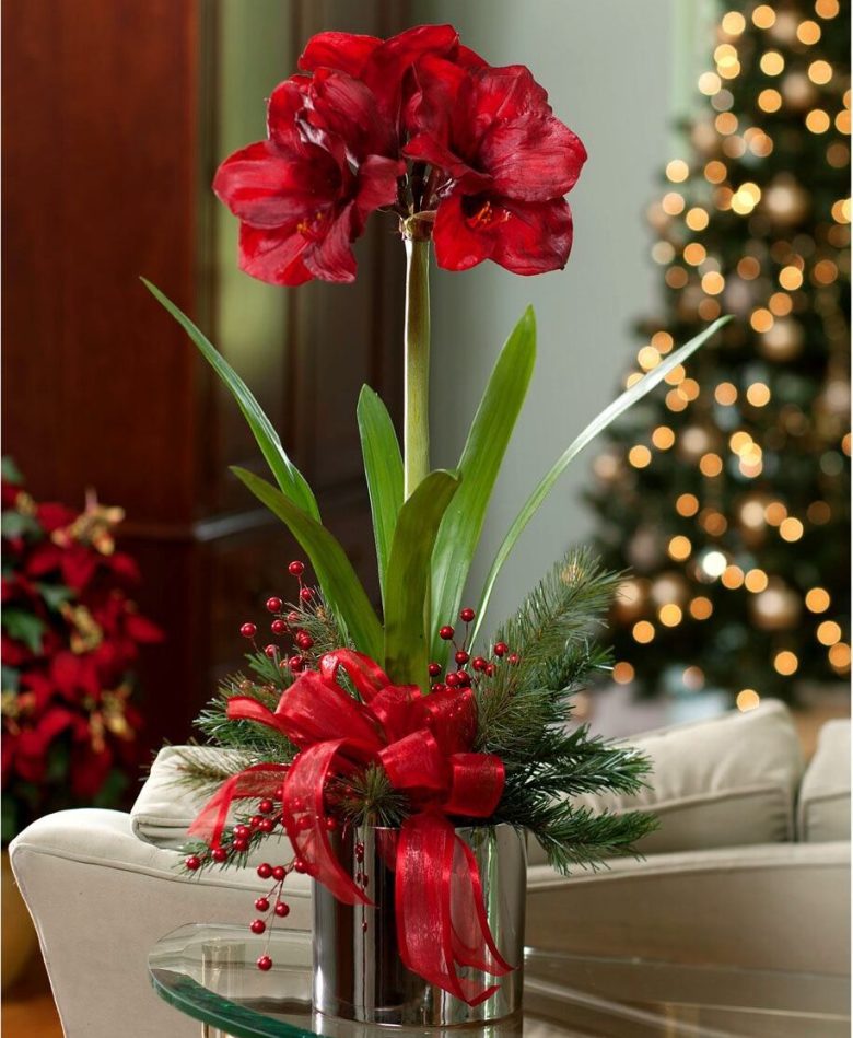 casa-dicembre-5