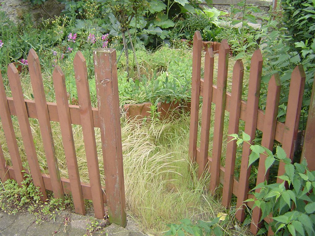 come-sistemare-giardino-6