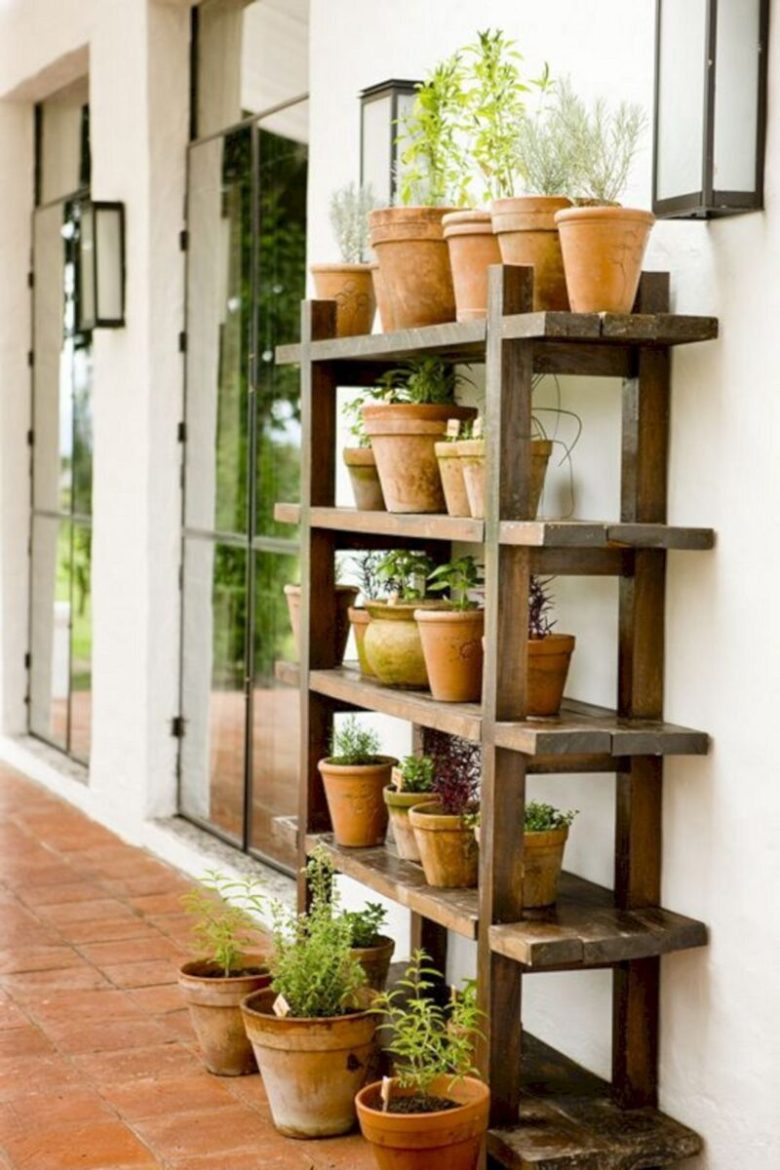 piante-in-inverno-22